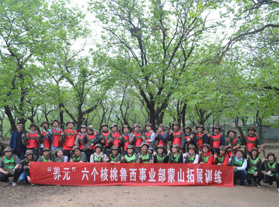 養(yǎng)元六個核桃魯西事業(yè)部 養(yǎng)元六個核桃魯西事業(yè)部